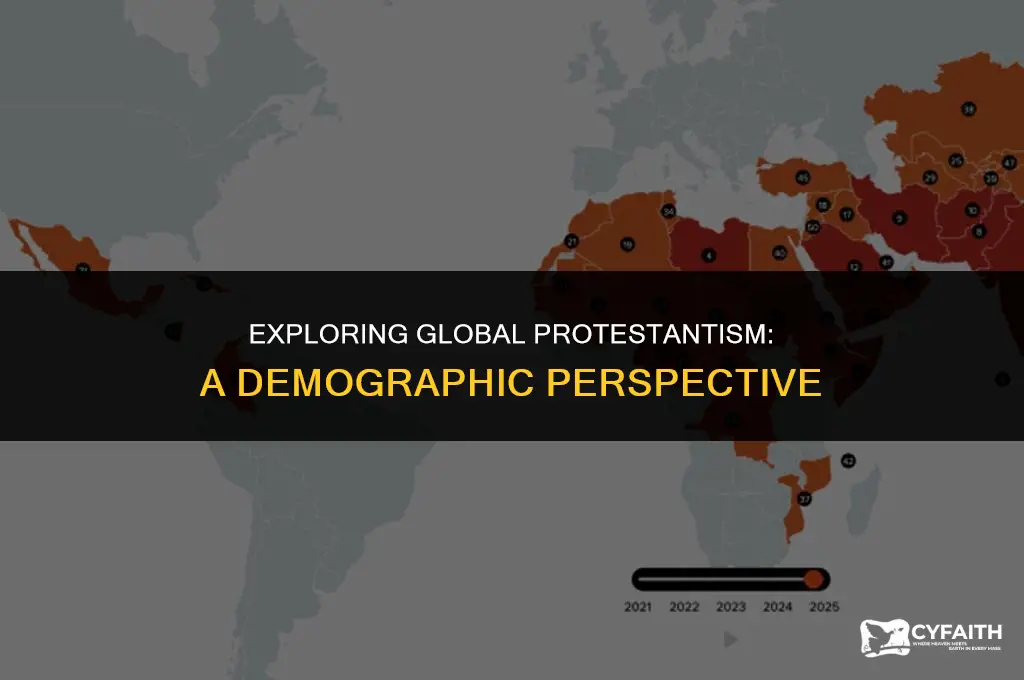 what percent of the world is protestant