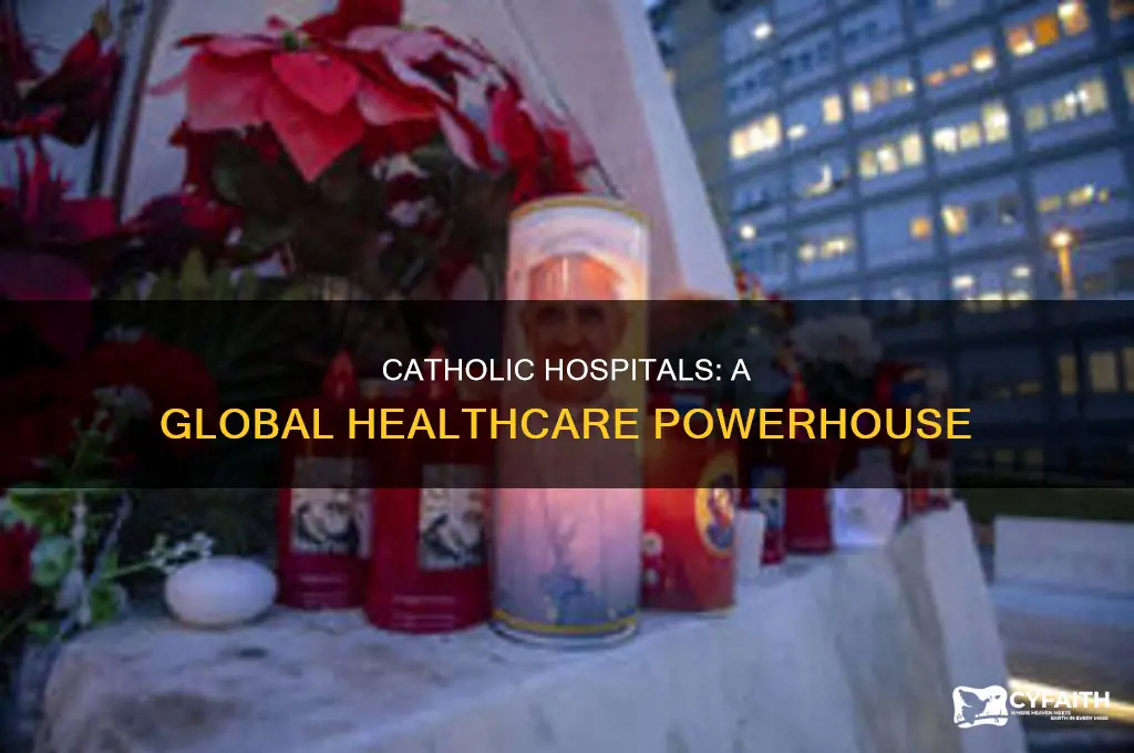 what percent of the worlds hospitals are catholic