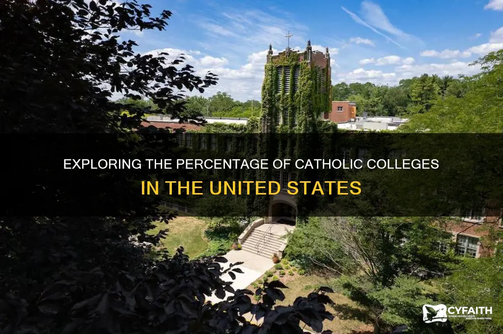 what percent of us colleges are catholic