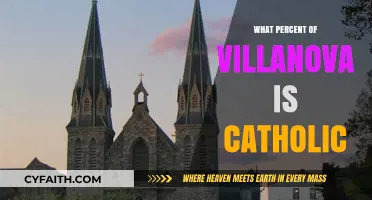 Exploring Villanova University's Catholic Identity: Percentage and Influence
