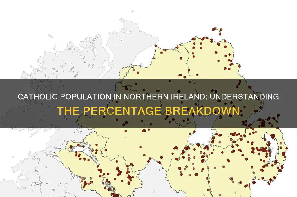 what percentage are catholic in northern ireland