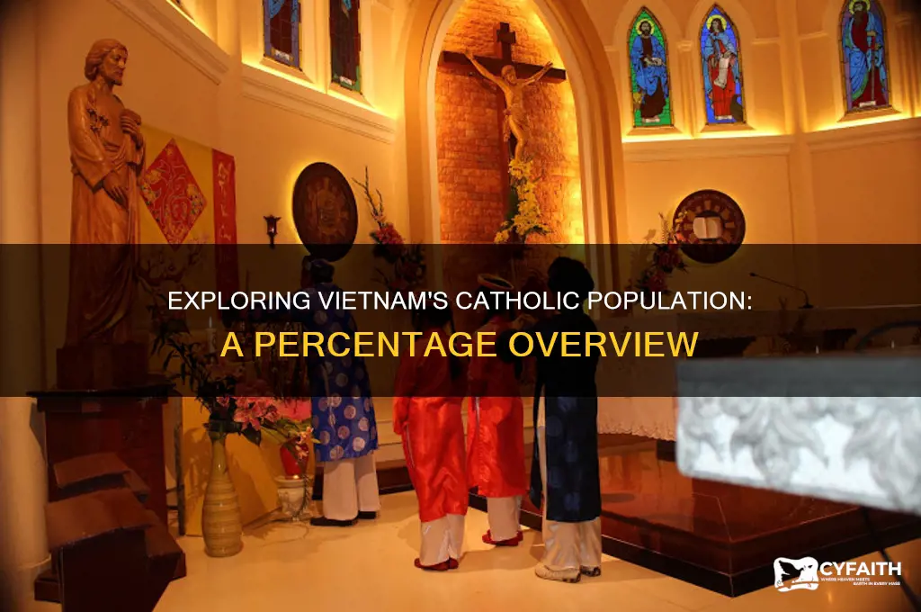 what percentage catholic in vietnam