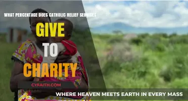 Catholic Relief Services: Charity Percentage and Financial Transparency Explained