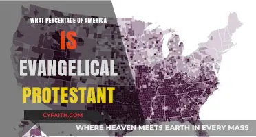 Understanding America's Religious Landscape: The Evangelical Protestant Percentage