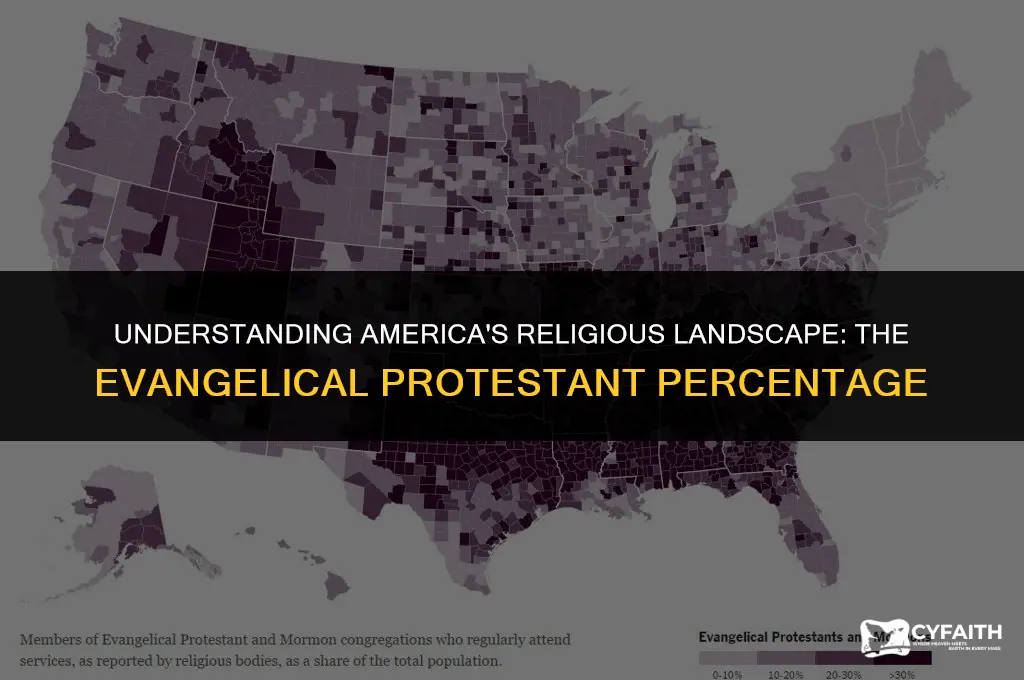 what percentage of america is evangelical protestant