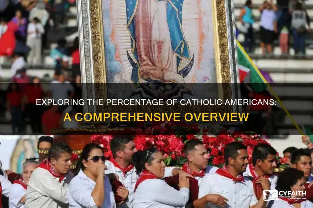 what percentage of americans ara catholic