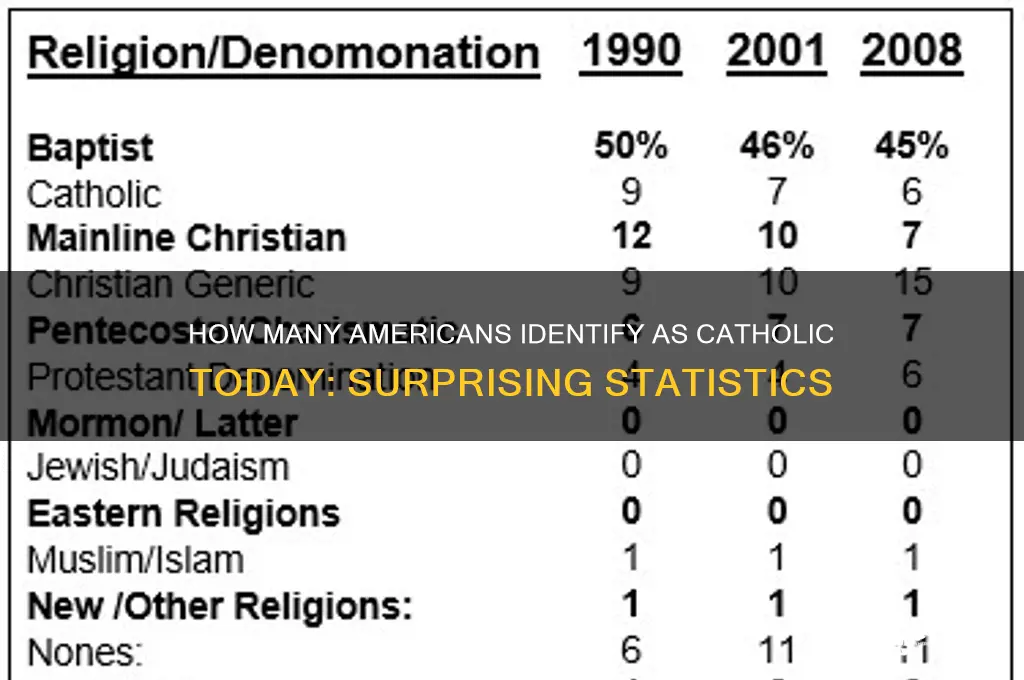 what percentage of americans identify as catholic