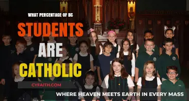 Exploring the Catholic Student Population at Boston College