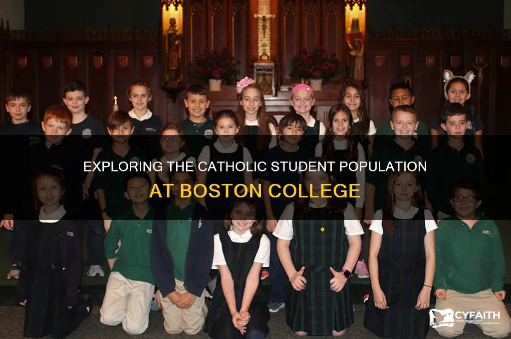 what percentage of bc students are catholic