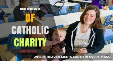 Exploring the Financial Allocation of Catholic Charity Contributions