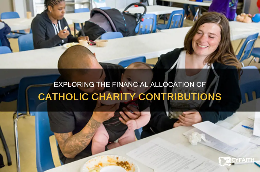 what percentage of catholic charity