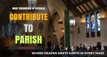 Catholic Parish Contributions: Understanding Donor Participation Rates and Trends
