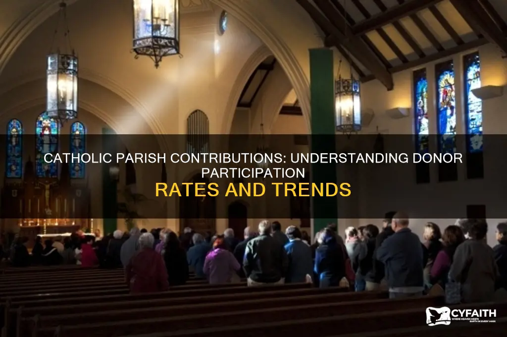 what percentage of catholic contribute to parish