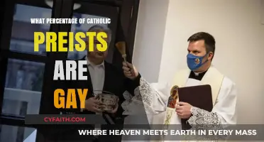 Exploring the Unspoken: Gay Catholic Priests and Their Percentage