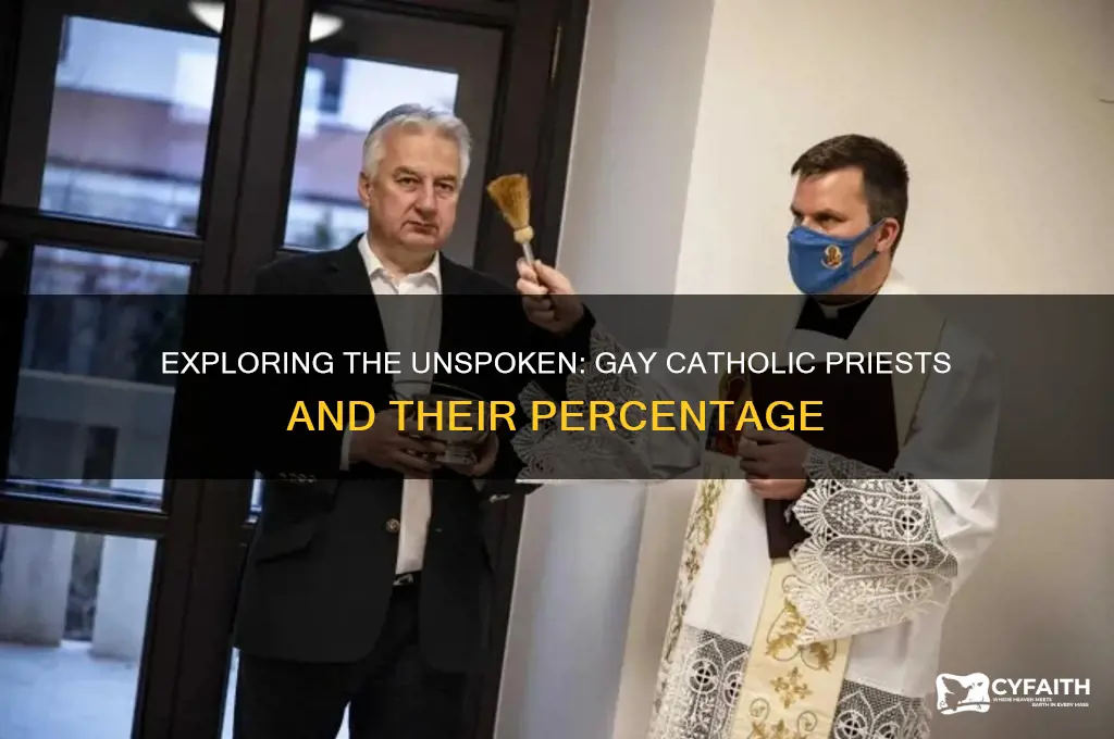 what percentage of catholic preists are gay