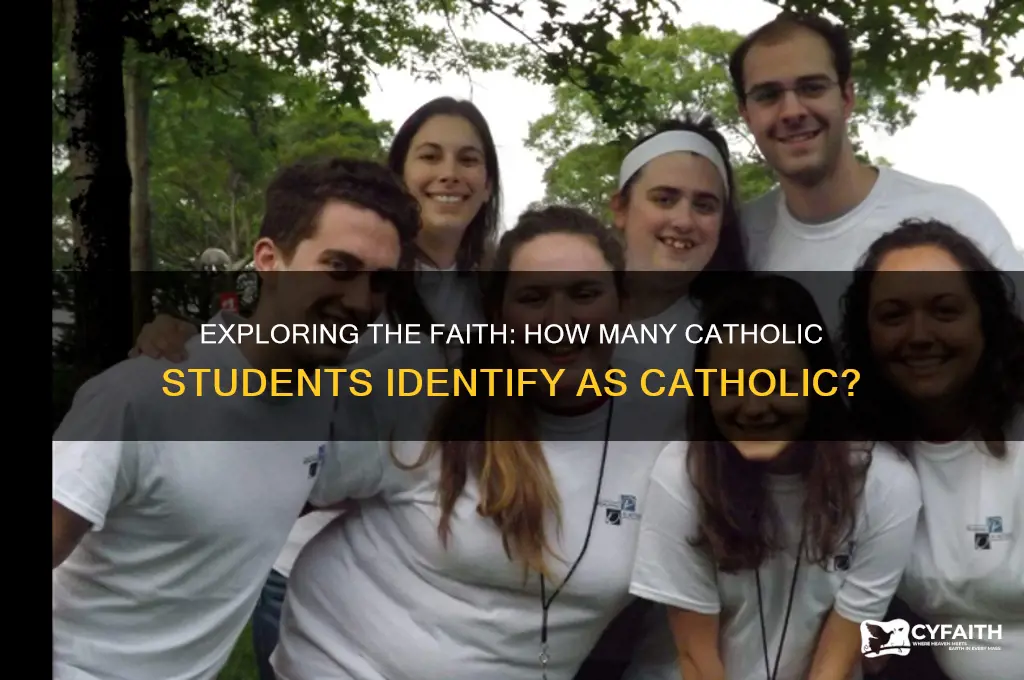 what percentage of catholic students are catholic