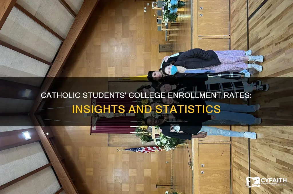 what percentage of catholic students get collage