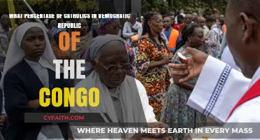 Exploring Catholic Demographics in the Democratic Republic of the Congo