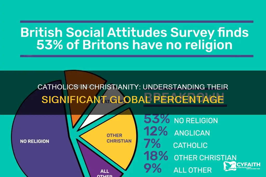 what percentage of catholics make of christianity