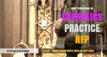 How Many Catholics Use Natural Family Planning Today?