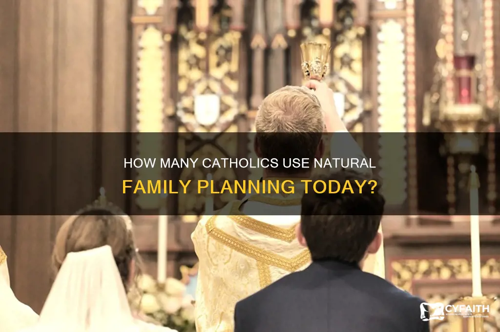 what percentage of catholics practice nfp