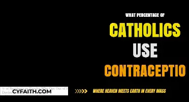 Contraception Use Among Catholics: Exploring Prevalence and Beliefs
