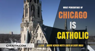Chicago's Catholic Population: Exploring the City's Religious Demographics