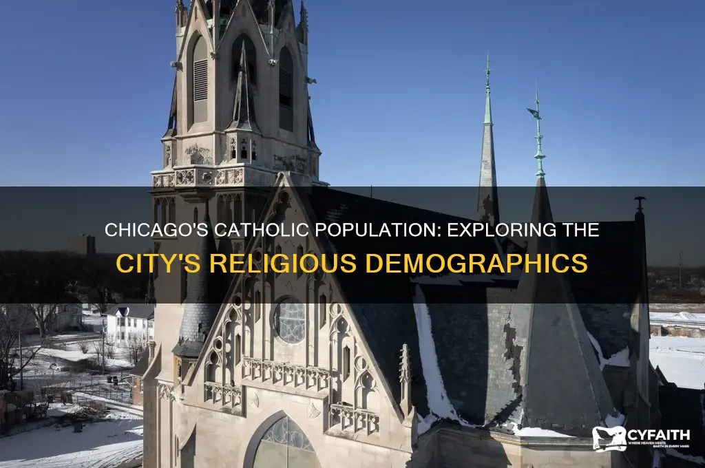 what percentage of chicago is catholic