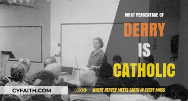 Derry's Religious Demographics: Exploring the Catholic Population Percentage