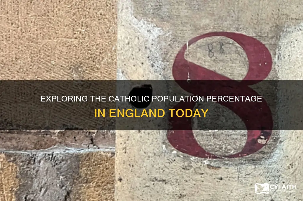 what percentage of english are catholic