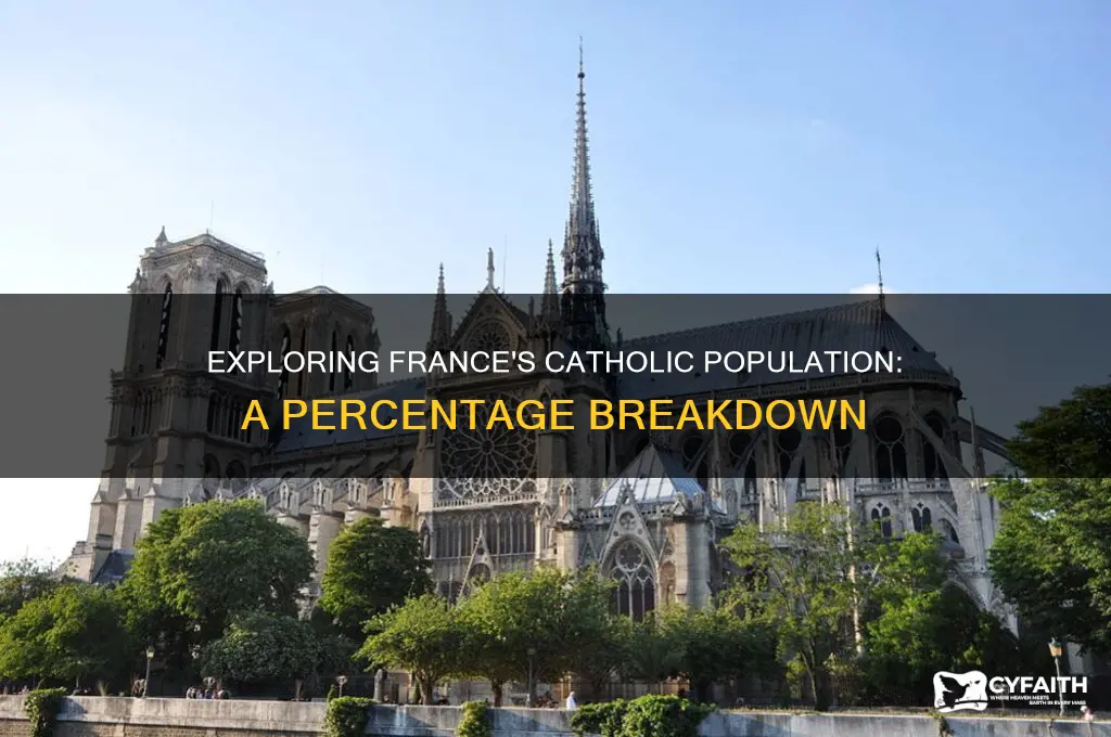 what percentage of frnce is catholic