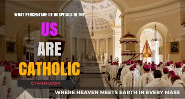 Catholic Hospitals in the US: Understanding Their Prevalence and Impact
