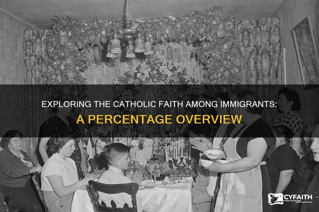 what percentage of immigrants are catholic