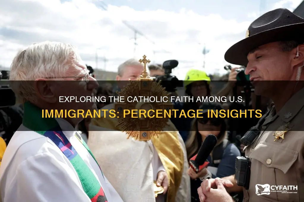 what percentage of immigrants in the united states is catholic