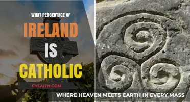 Ireland's Catholic Population: A Religious Majority