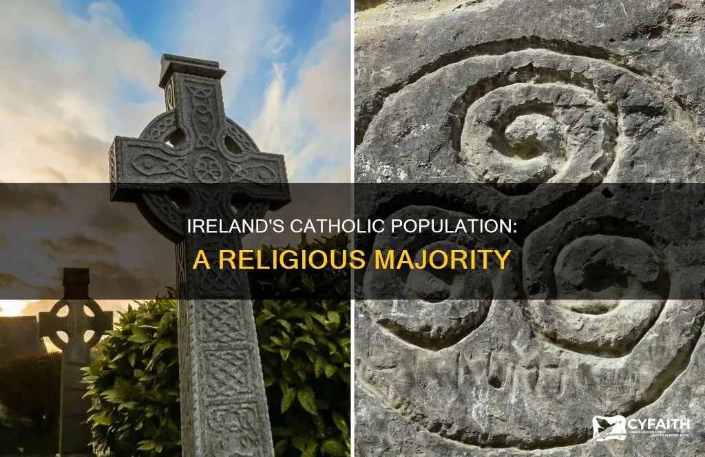 what percentage of ireland is catholic