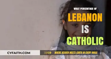 Lebanon's Catholic Population: Understanding the Percentage and Religious Diversity