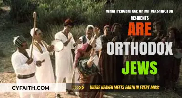 Orthodox Jewish Population in Mt. Washington: A Demographic Overview