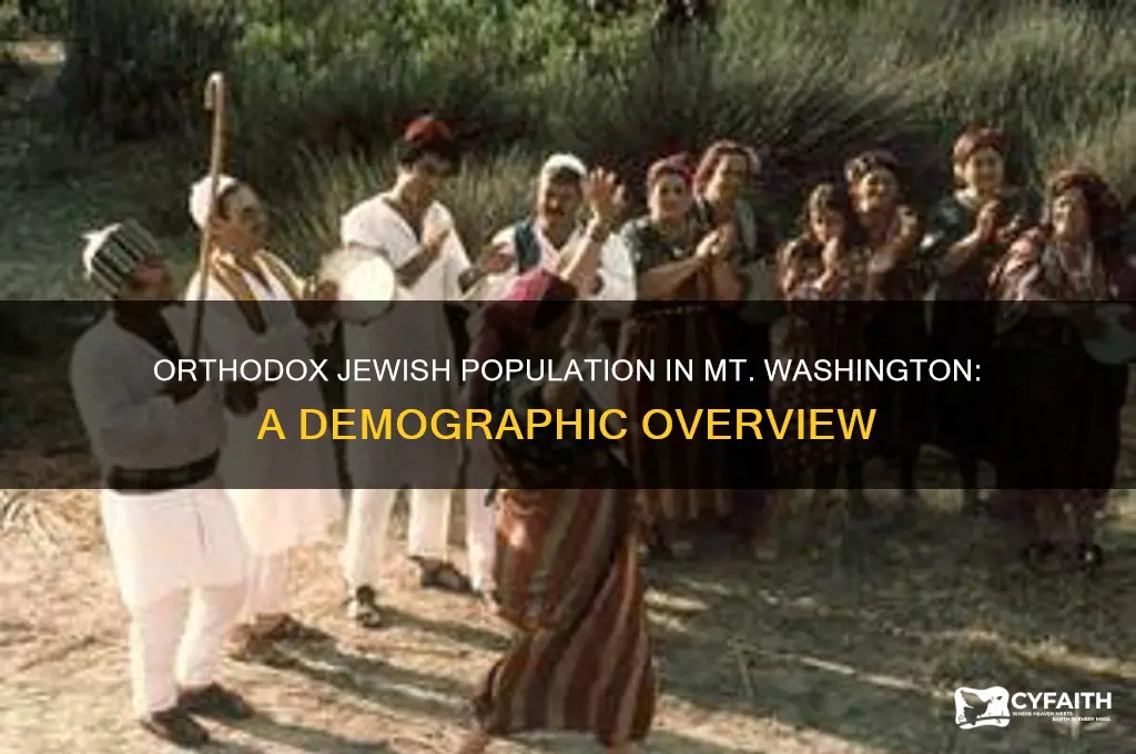what percentage of mt washington residents are orthodox jews