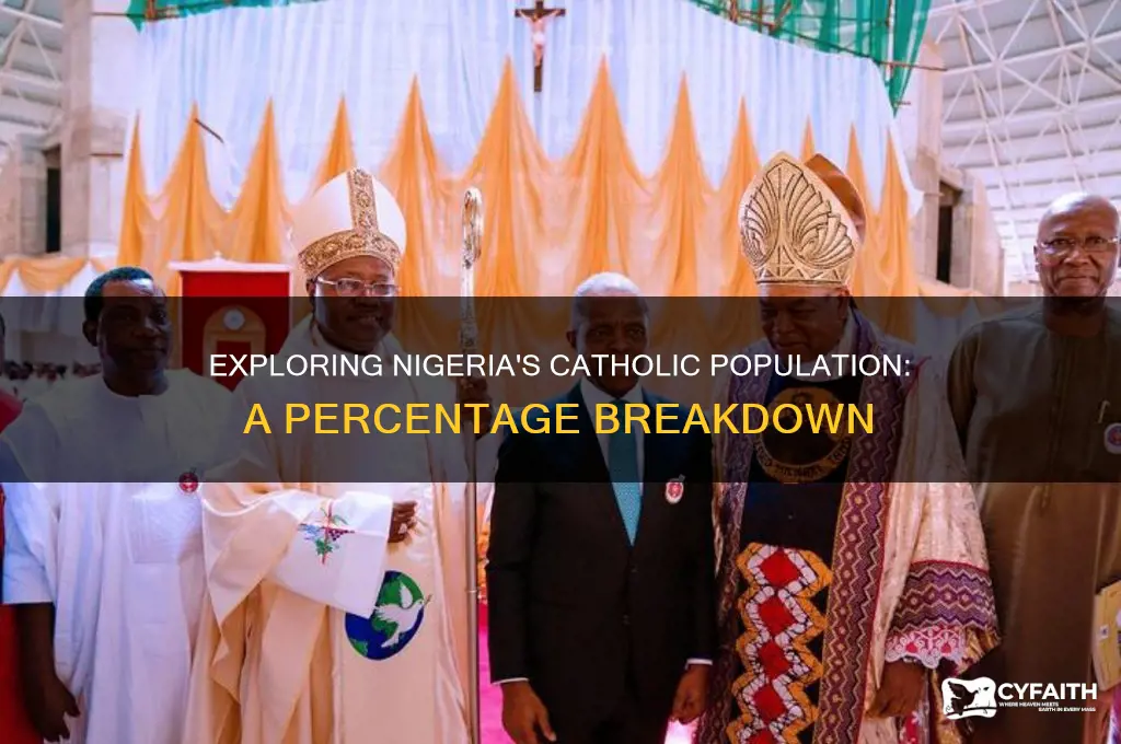 what percentage of nigeria is catholic