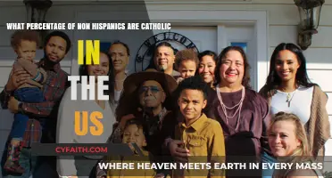 Exploring Non-Hispanic Catholic Demographics in the United States