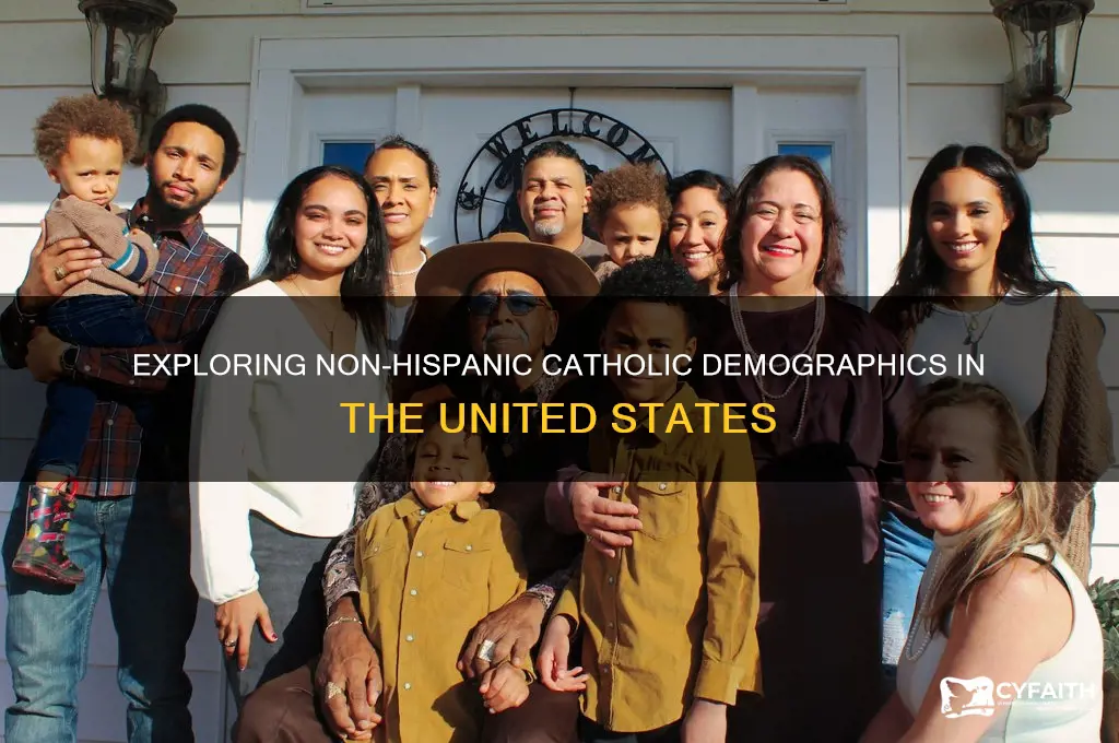 what percentage of non hispanics are catholic in the us