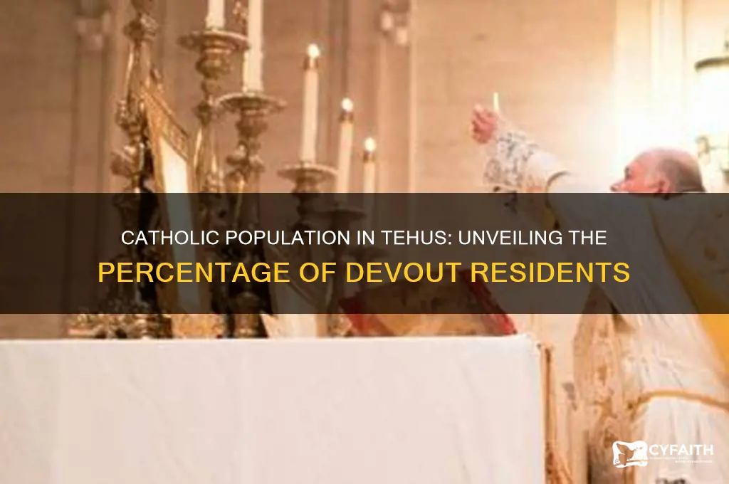 what percentage of people in tehus were catholic