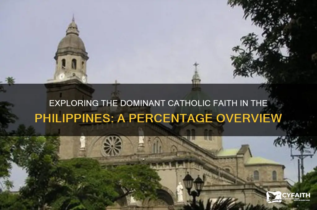 what percentage of people in the philippines are catholic
