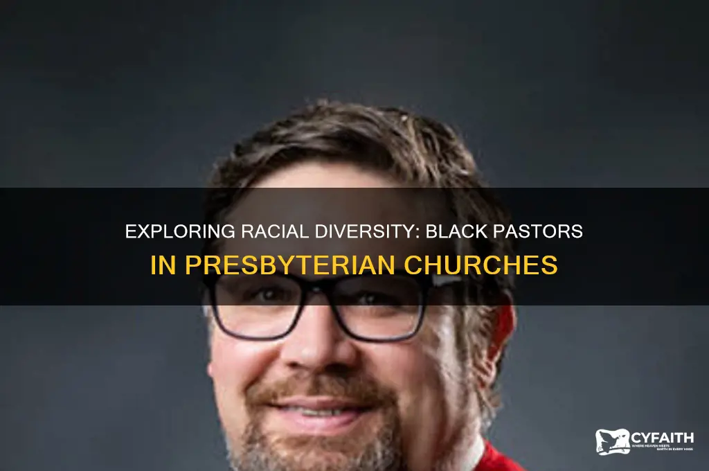 what percentage of presbyterian pastors are black