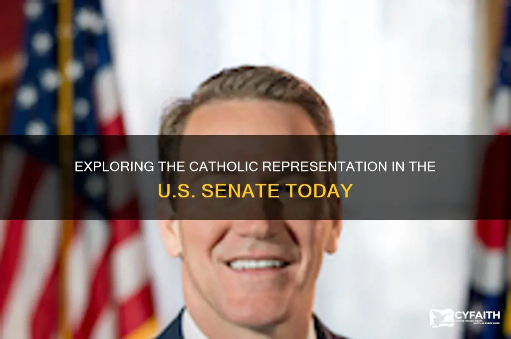 what percentage of senators are catholic