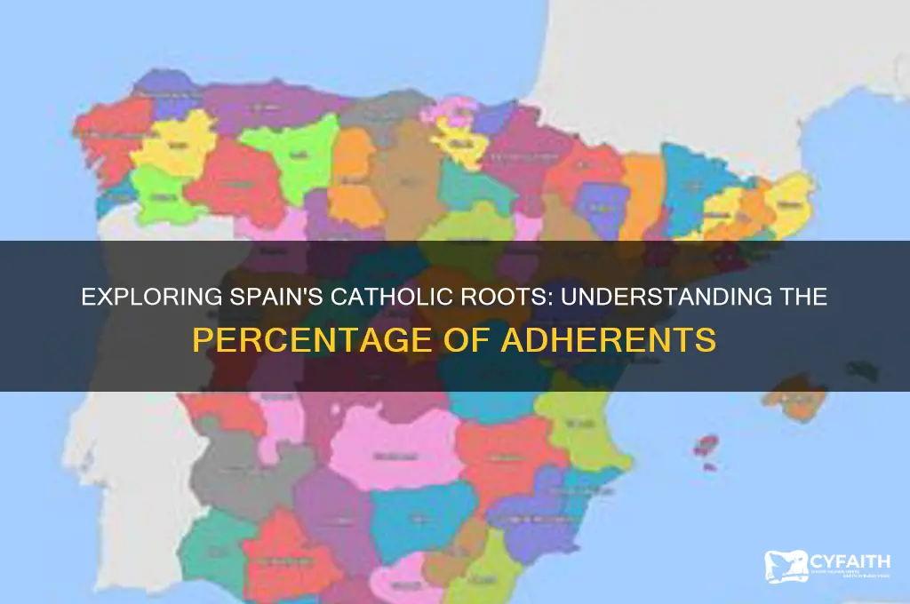 what percentage of spanish are catholic