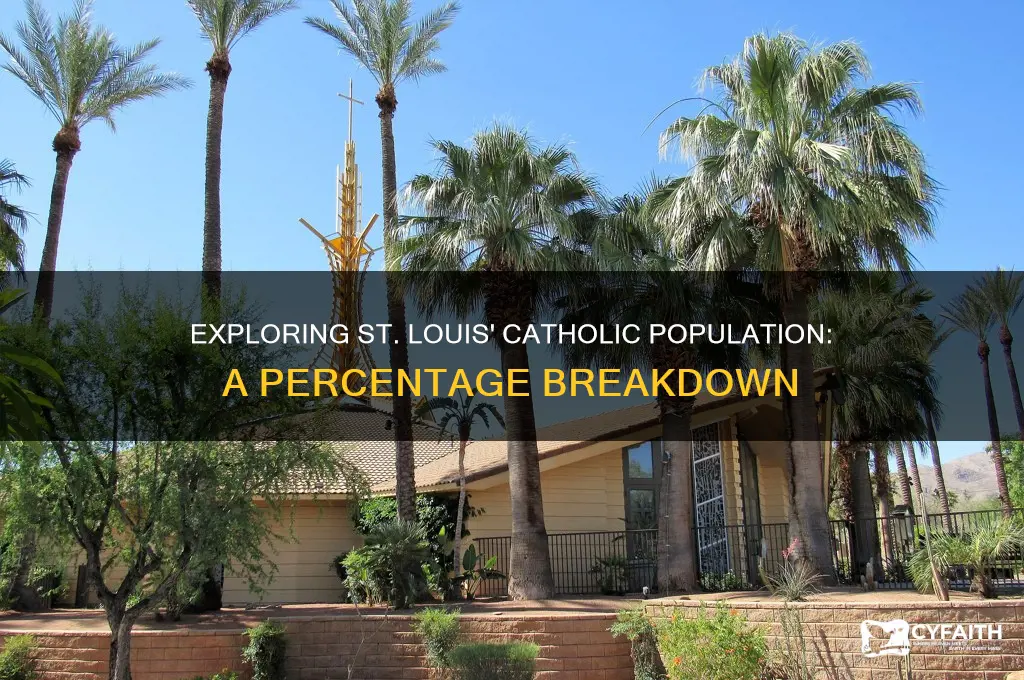 what percentage of st louis is catholic