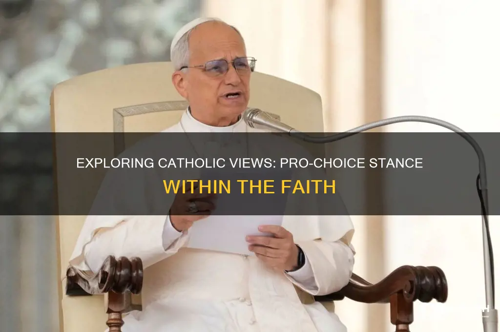 what percentage of the catholic religion is pro-choice