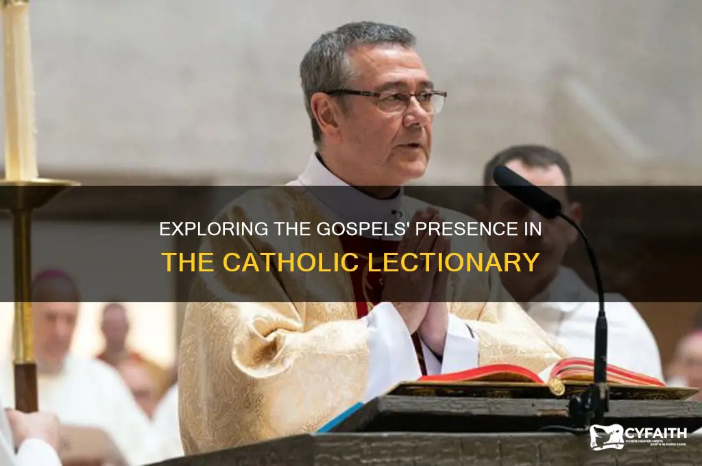 what percentage of the gospels are in the catholic lectionary